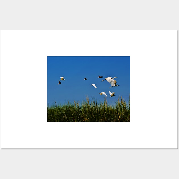 Fly Away - Coastal Wildlife Wall Art by BeachBumPics